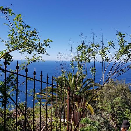 Villa Larnia De Tenerife Саусаль Экстерьер фото