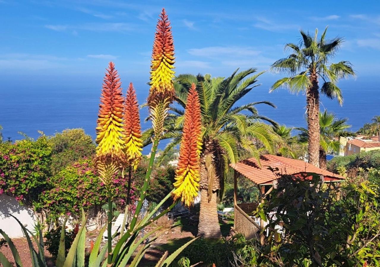 Villa Larnia De Tenerife Саусаль Экстерьер фото