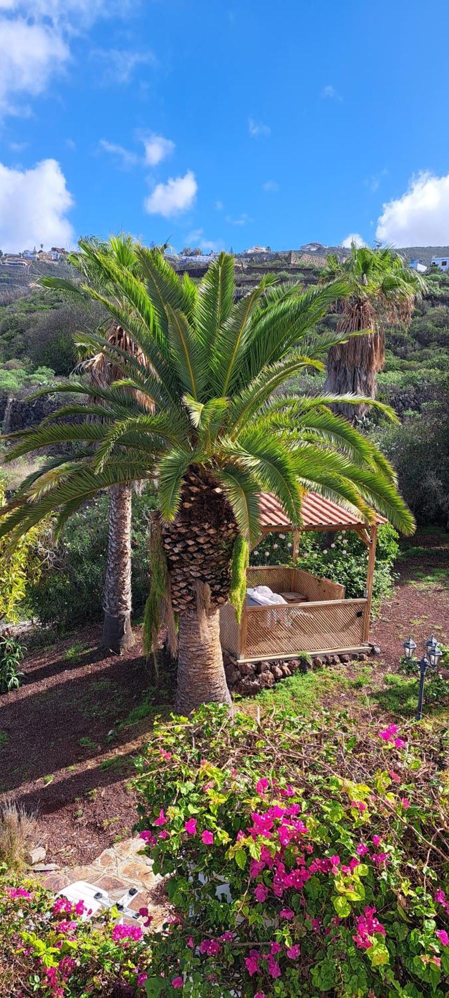 Villa Larnia De Tenerife Саусаль Экстерьер фото