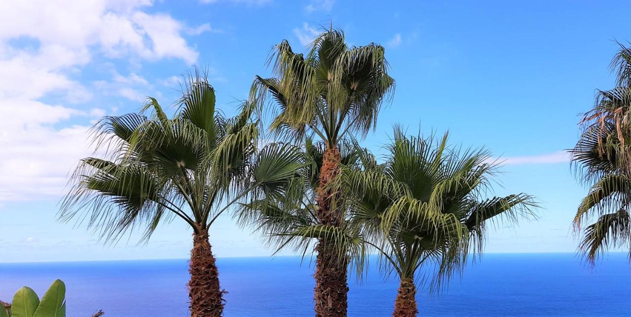 Villa Larnia De Tenerife Саусаль Экстерьер фото